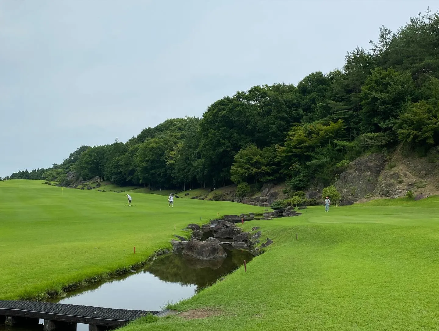 ゴールド栃木プレジデントカントリーで、プレーして来ました🏌️...