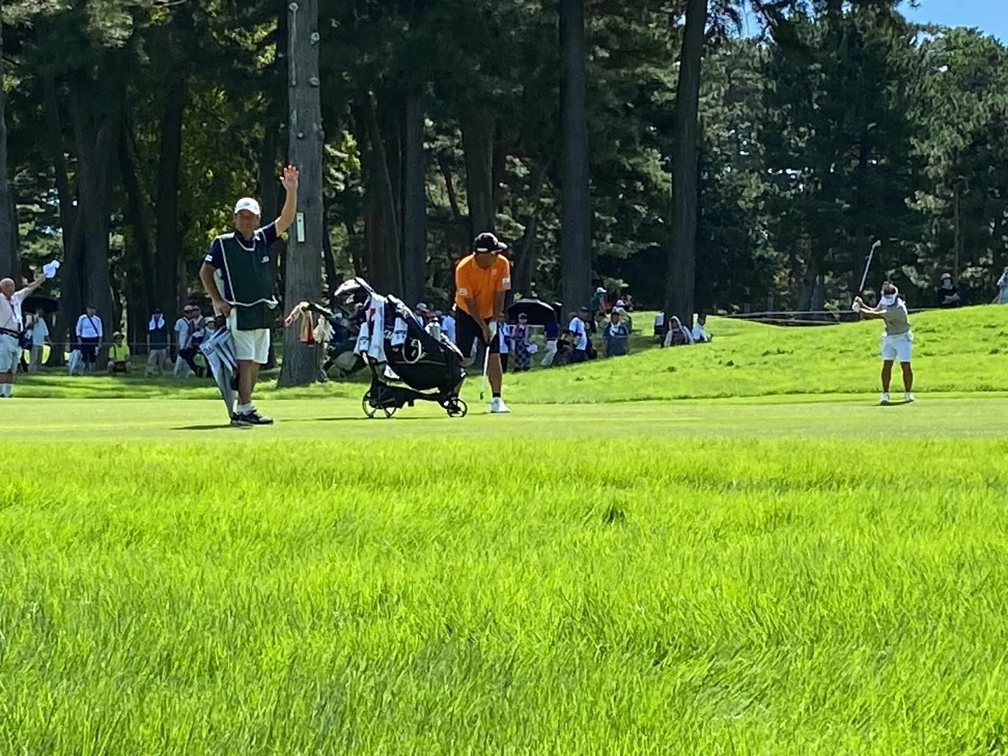 プロの試合を観戦してきました！🏅⛳️ 天気は最高のコンディシ...