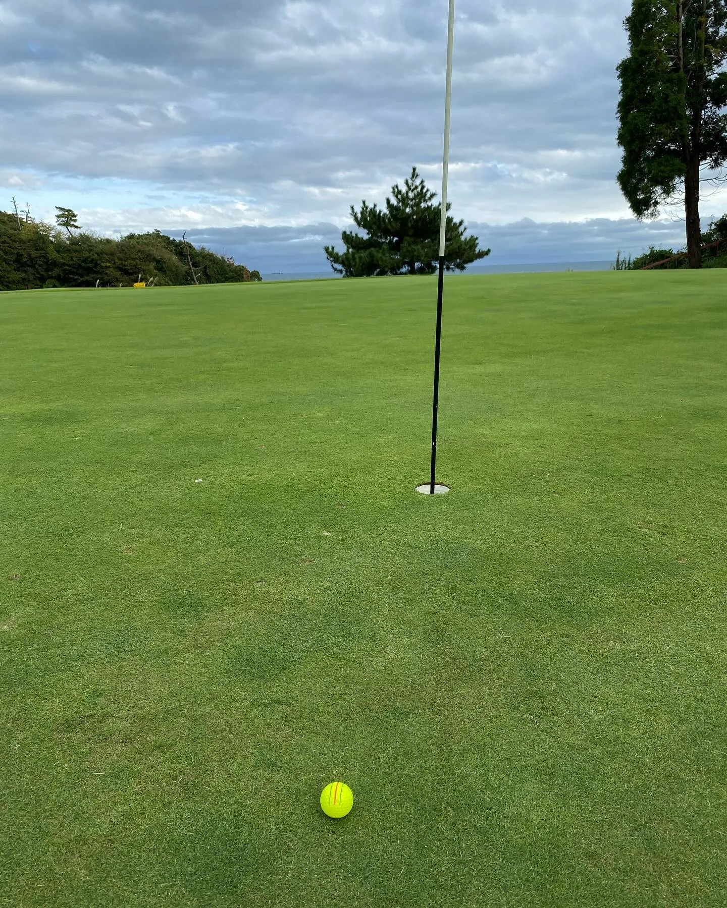 ゴルフを愛する皆さん、こんにちは⛳️。