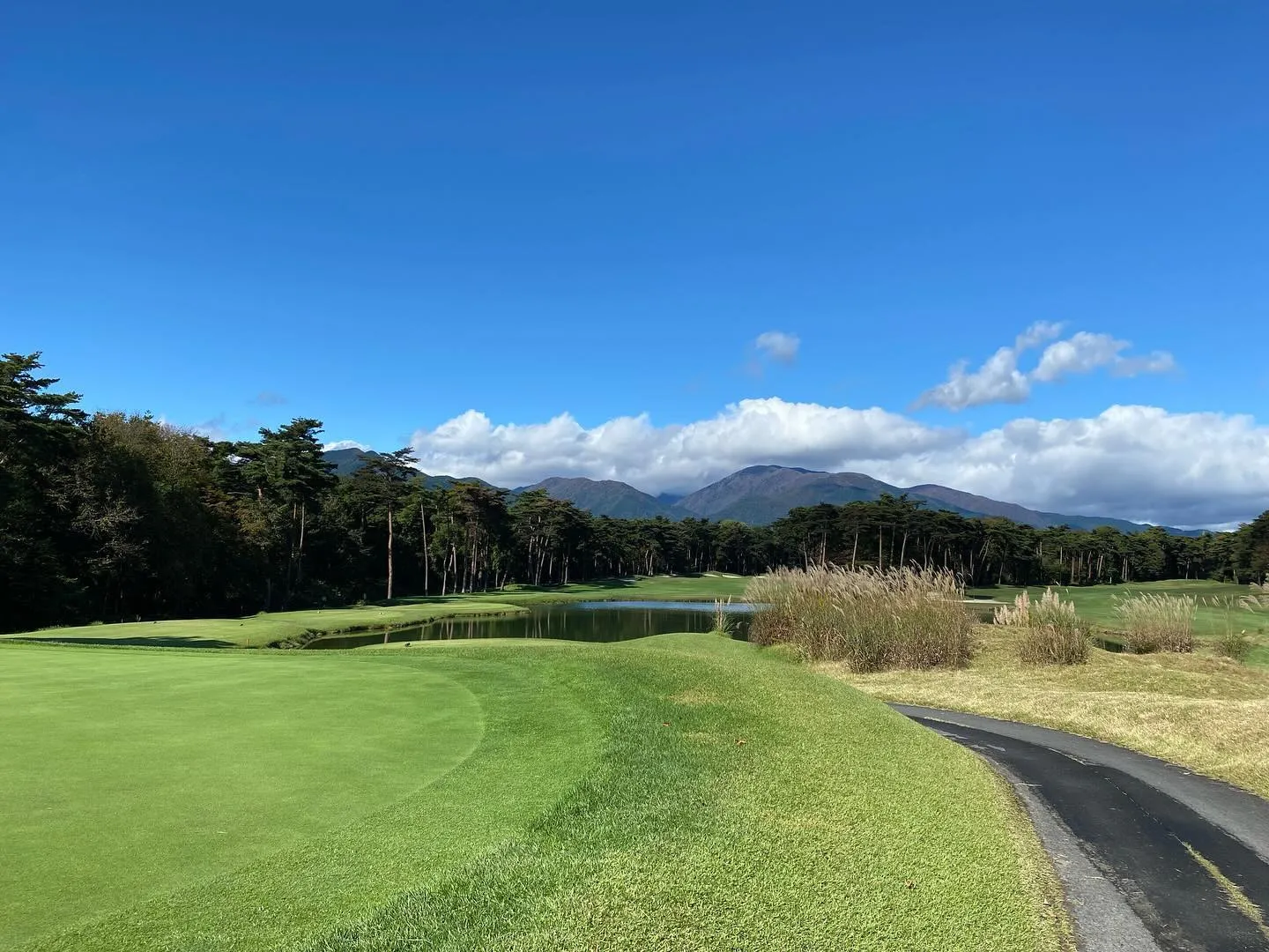 西那須野カントリー倶楽部へ行ってきました⛳️。