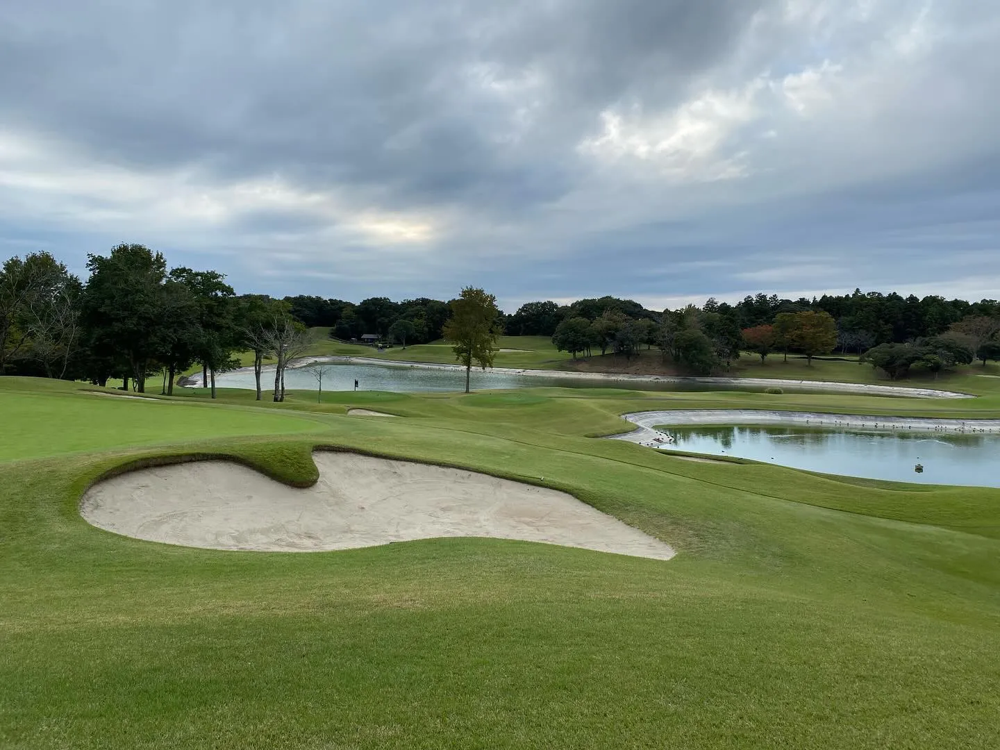 美浦ゴルフ倶楽部でプレーしてきました⛳️✨。