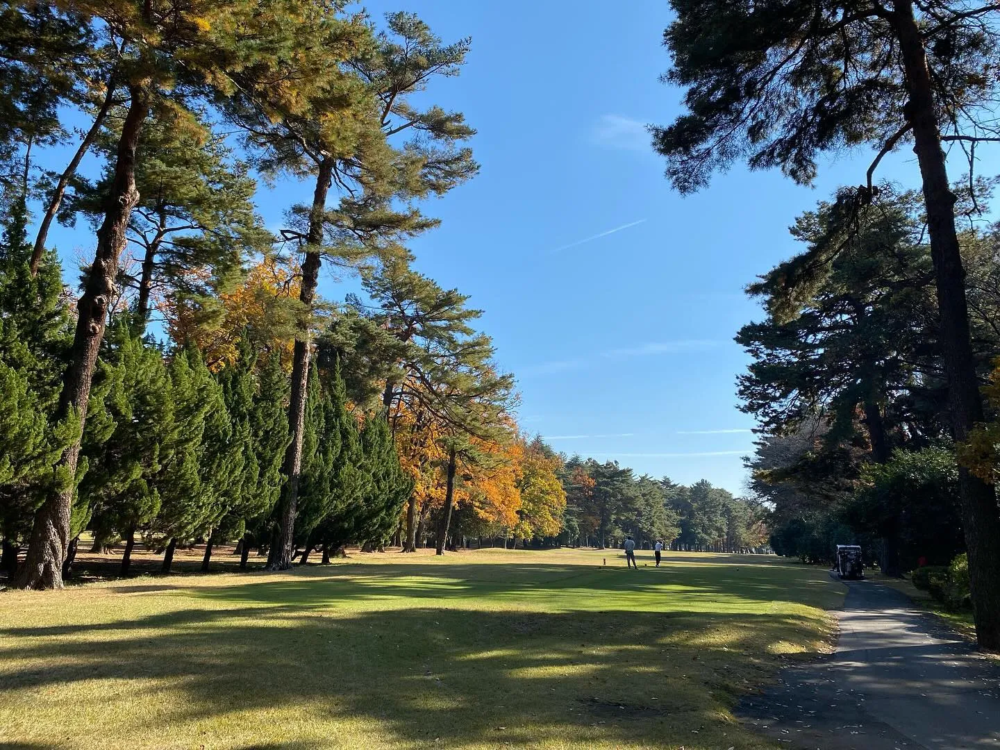 紅葉🍁が美しく色づく中でのラウンドは、日本ならではの贅沢です...