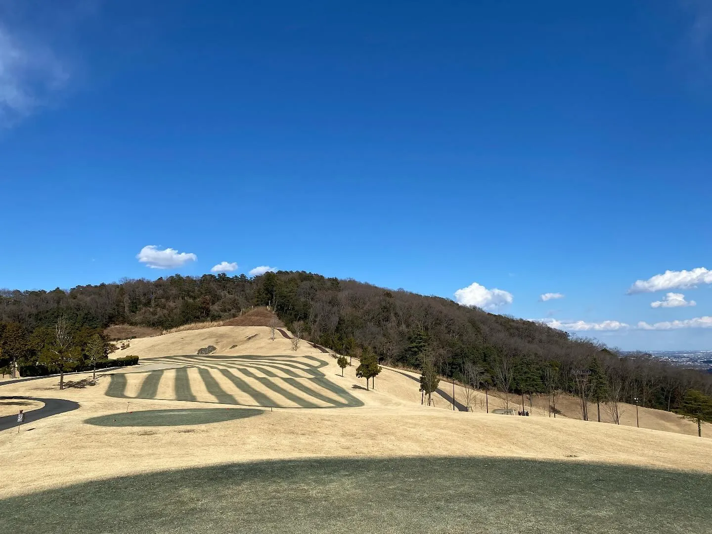 女子のトーナメントが始まりましたね！⛳️✨ 今年もゴルフの季...