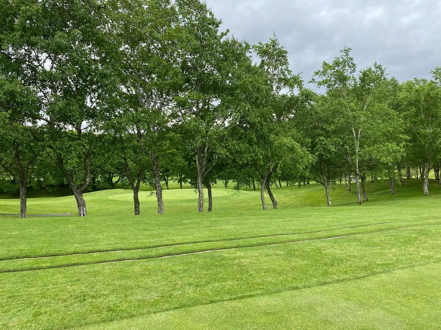札幌国際カントリークラブ島松コースに行って参りました⛳✨。