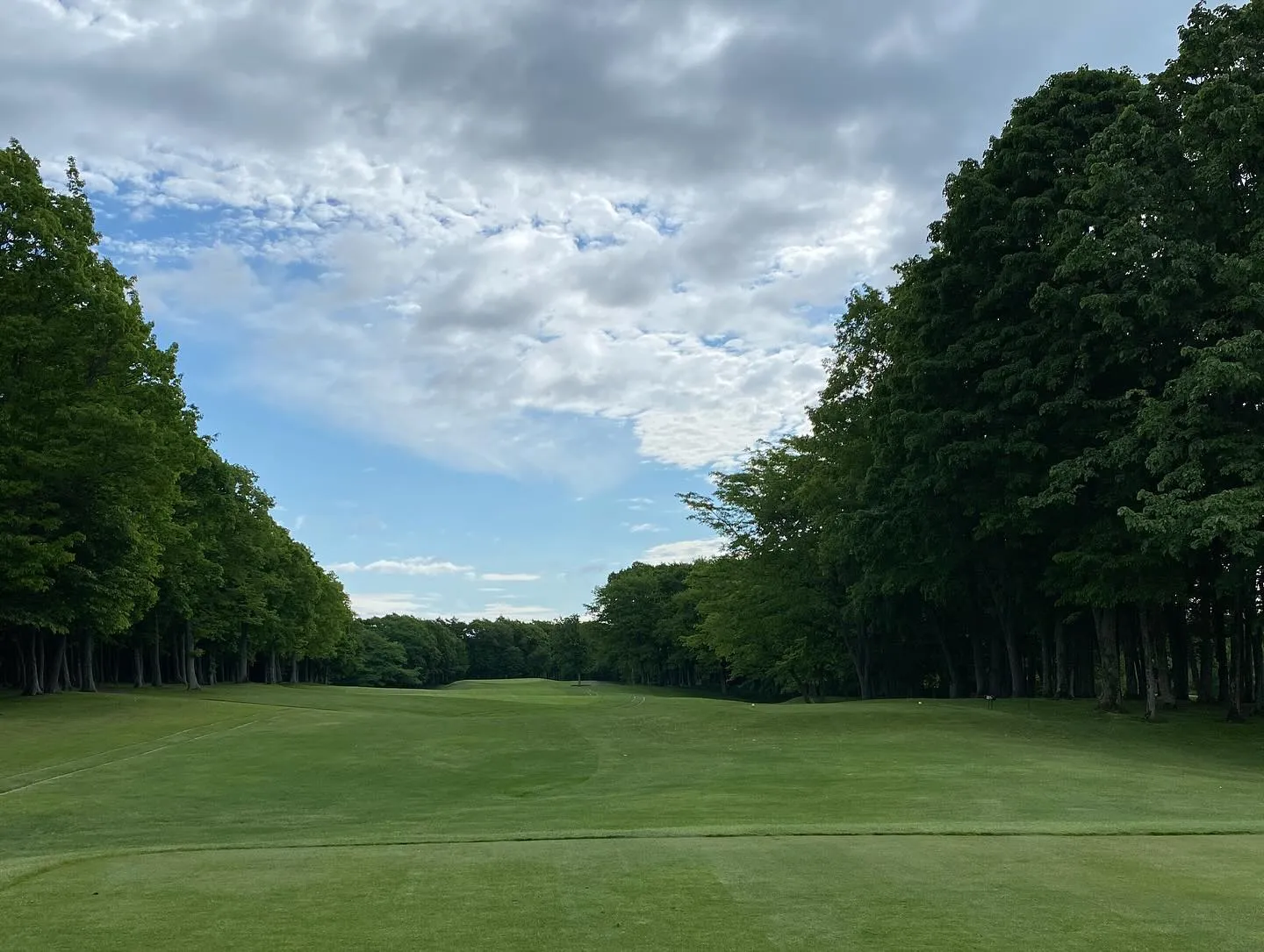 札幌国際カントリークラブ島松コースに行って参りました⛳✨。