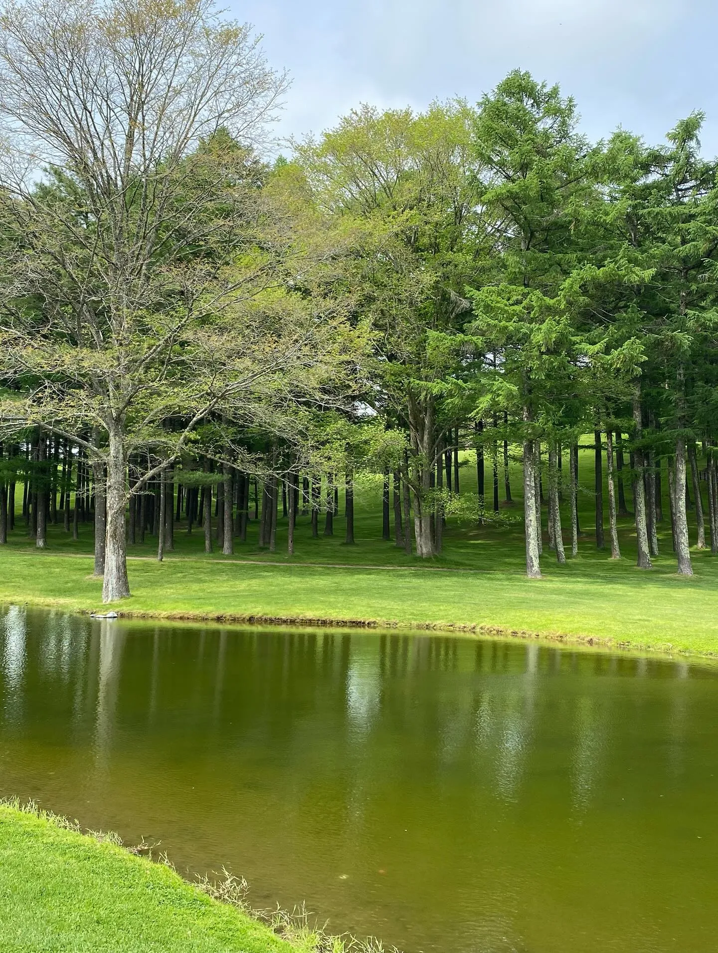 北海道にある素晴らしいゴルフコース、ニドムクラッシックコース...