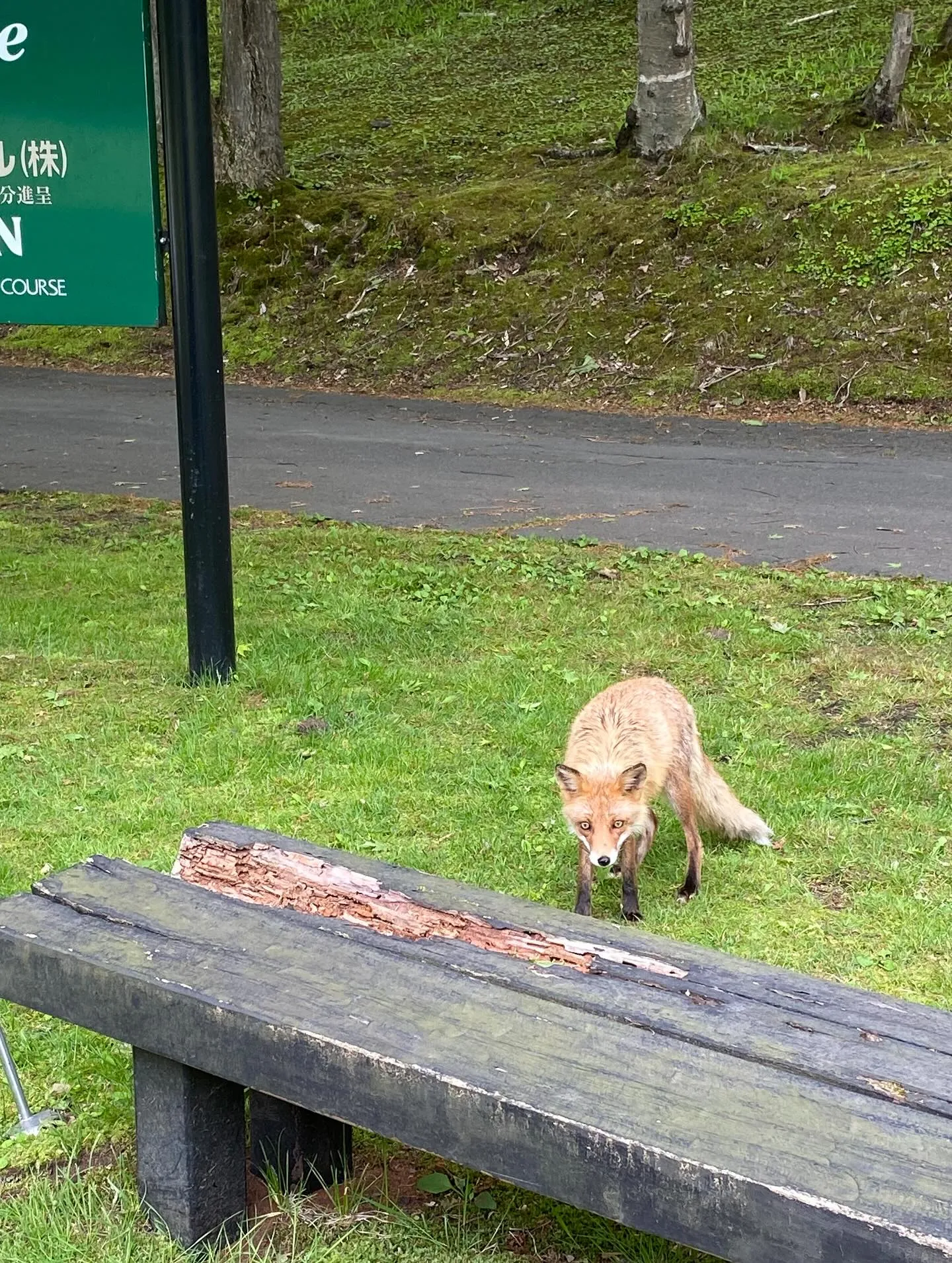 北海道にある素晴らしいゴルフコース、ニドムクラッシックコース...