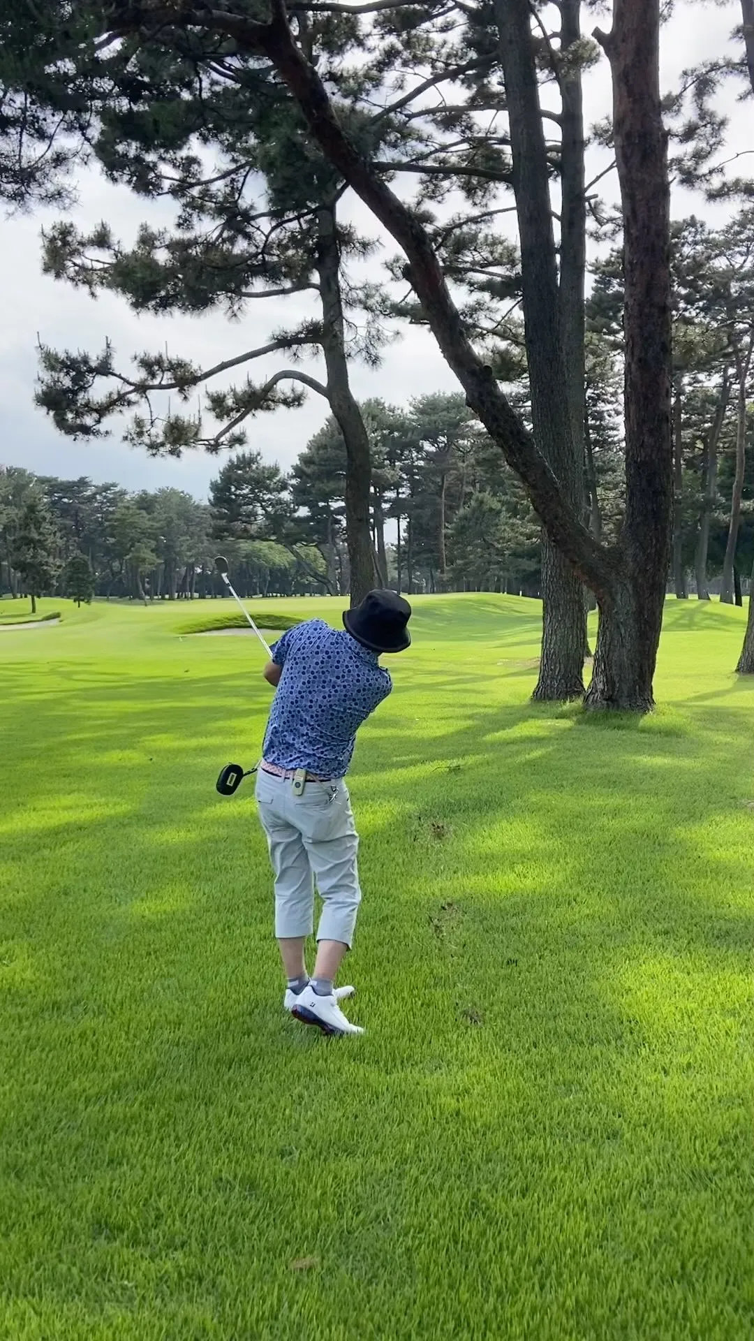 ゴルフボール選びに挑戦してみました⛳️✨。