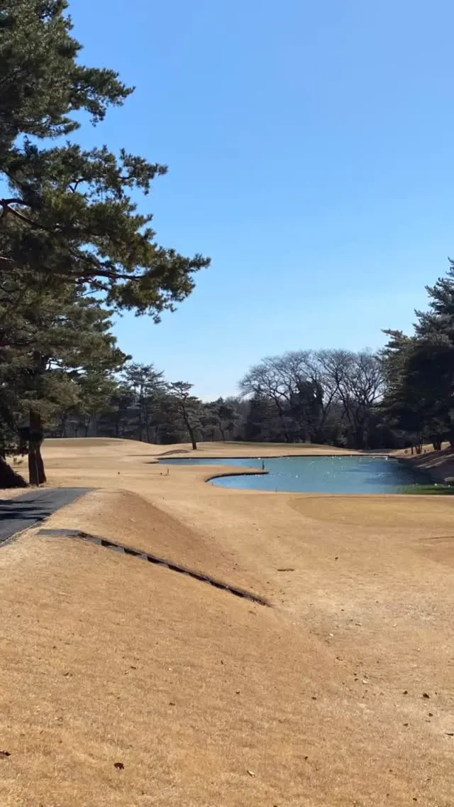 東松山カントリーでのラウンドに行ってきました！🌟 予想以上に...